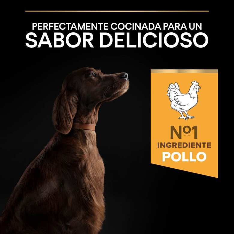 Purina Pro Plan Large Athletic Adult Pollo pienso para perros, , large image number null